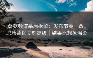 蘑菇频道幕后拆解：发布节奏一改，职场背锅立刻高级｜结果比想象温柔