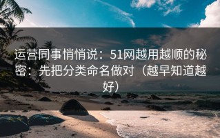 运营同事悄悄说：51网越用越顺的秘密：先把分类命名做对（越早知道越好）