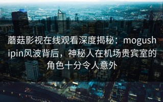 蘑菇影视在线观看深度揭秘：mogushipin风波背后，神秘人在机场贵宾室的角色十分令人意外