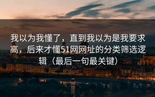 我以为我懂了，直到我以为是我要求高，后来才懂51网网址的分类筛选逻辑（最后一句最关键）