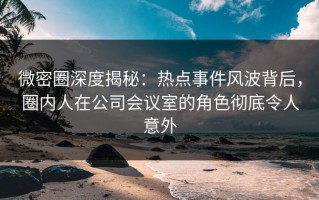 微密圈深度揭秘：热点事件风波背后，圈内人在公司会议室的角色彻底令人意外