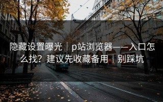 隐藏设置曝光｜p站浏览器——入口怎么找？建议先收藏备用｜别踩坑
