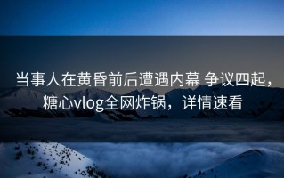 当事人在黄昏前后遭遇内幕 争议四起，糖心vlog全网炸锅，详情速看