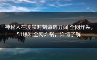 神秘人在凌晨时刻遭遇丑闻 全网炸裂，51爆料全网炸锅，详情了解