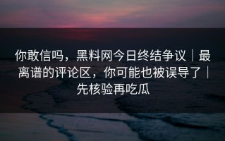 你敢信吗，黑料网今日终结争议｜最离谱的评论区，你可能也被误导了｜先核验再吃瓜