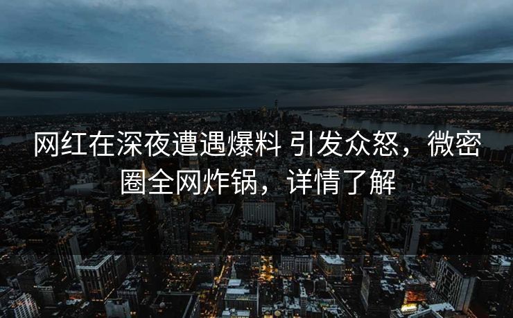 网红在深夜遭遇爆料 引发众怒，微密圈全网炸锅，详情了解-第1张图片-麻豆传媒全景档案