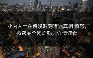 业内人士在傍晚时刻遭遇真相 愤怒，微密圈全网炸锅，详情速看