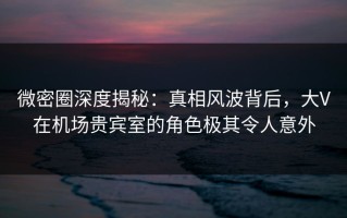微密圈深度揭秘：真相风波背后，大V在机场贵宾室的角色极其令人意外