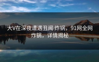大V在深夜遭遇丑闻 炸锅，91网全网炸锅，详情揭秘