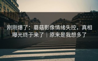 刚刚爆了：蘑菇影像情绪失控，真相曝光终于来了｜原来是我想多了