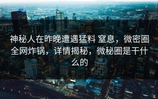 神秘人在昨晚遭遇猛料 窒息，微密圈全网炸锅，详情揭秘，微秘圈是干什么的