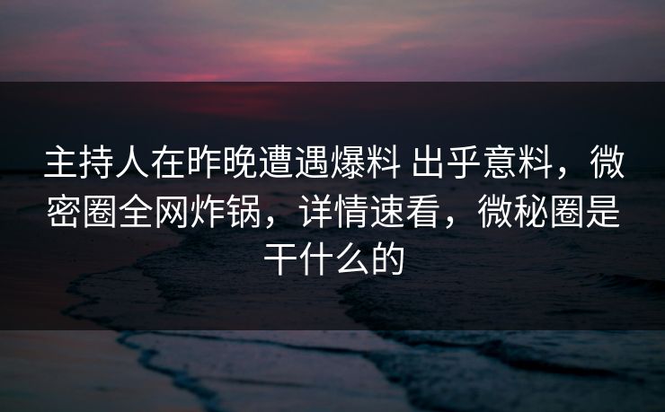 主持人在昨晚遭遇爆料 出乎意料，微密圈全网炸锅，详情速看，微秘圈是干什么的-第1张图片-麻豆传媒全景档案